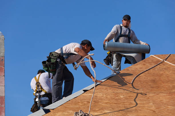 Best Commercial Roofing Services  in Meadows Place, TX