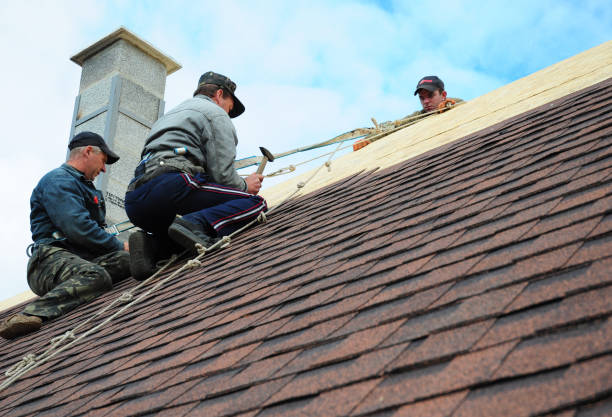 Best Roof Leak Repair  in Meadows Place, TX